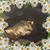 Jennifer R Rasmussen's profile image
