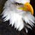 Gary Hulsbrink's profile image
