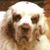 Dee Stewart's profile image