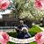Melody Young's profile image