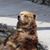 Sean Mortensen's profile image