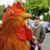 Tim Christy's profile image