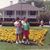 JoAnn Price's profile image