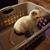 Molly Olly-Olskins's profile image