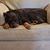 Damaris Gonzalez's profile image