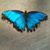 Mary Ann Martin's profile image