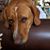 Sharon DeMatteis's profile image