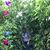 Mary Elizabeth Nelsen's profile image