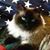 Catherine Gurule's profile image