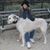 Sookey Capote's profile image
