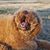 Jeannie Stevens McGarvey's profile image