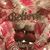 Tasha Roedl Rhodes's profile image