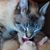 Christine Zawaski's profile image