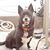 Paul Wilborn's profile image