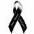 Amejia Vero's profile image