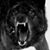 Bill Olson's profile image