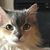 Patty Groweg's profile image