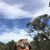 Suze Jernigan's profile image