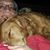 David Ewing's profile image