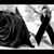 Rita Arias Quel's profile image