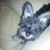 Julie Johnson's profile image