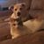 Aimee LaRocco's profile image