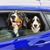Jessica Survant Myers's profile image