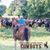 Linzey Holmes Thornton's profile image