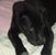 Jill Thibodeau's profile image