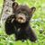Victoria Strelsky's profile image