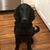 Kathy Leonard Blanchard's profile image