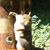Patricia McCandless's profile image