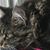 June Baker Adams's profile image