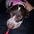 Andrea Panzica's profile image