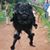Harold Clanton's profile image