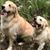 David Denise Phillips's profile image