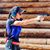 Kimiko Joanne Donahue's profile image