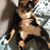Shelly Alexander's profile image