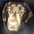 Mary Cantler Todd's profile image