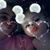 Marah Coufal's profile image