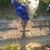 John William Satterwhite's profile image