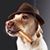 Wilson Eichinger's profile image