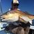 Scott Feighner's profile image