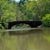 Cindy Morris Giddens's profile image