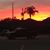 Susanandscott Dodson's profile image
