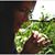 Cristina Roduner's profile image