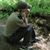 Tashia Shamwell's profile image