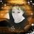 Patrizia Manni's profile image
