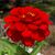 Jan-Clair Sellwood's profile image