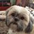 Barb Jean McColley's profile image